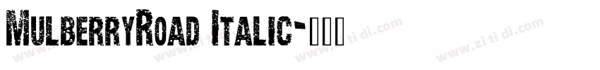 MulberryRoad Italic字体转换